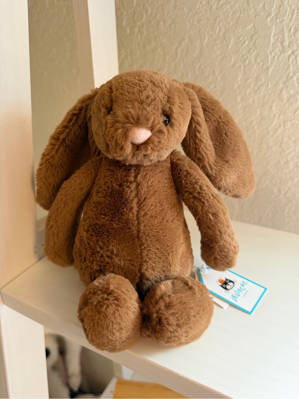 NWT Jellycat Little Nutmeg Bashful Bunny